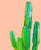 Euphorbia