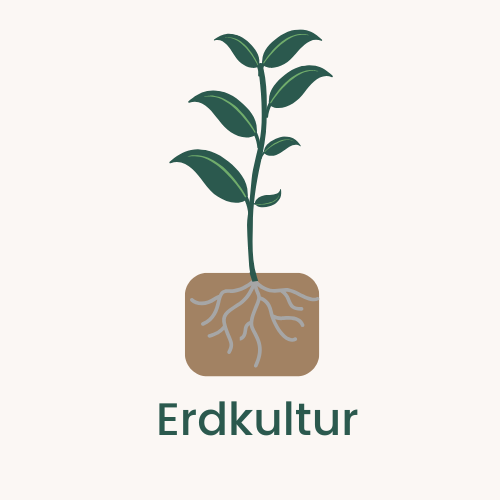 Erdkultur